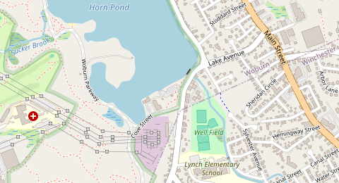 Map of a likely free parking spot near Lake Avenue, Boston